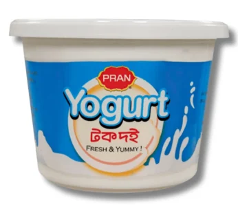 Pran Sour Curd 500gm